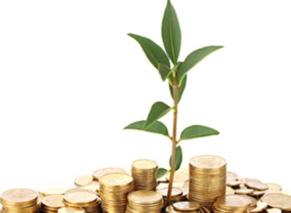 Eko-szantażyści hamują rozwój?