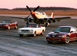 Happy Birthday to you, Mustang!