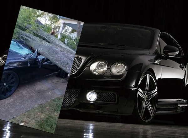 Bentley zmiażdżony przez drzewo - efekt działania speców od wycinki