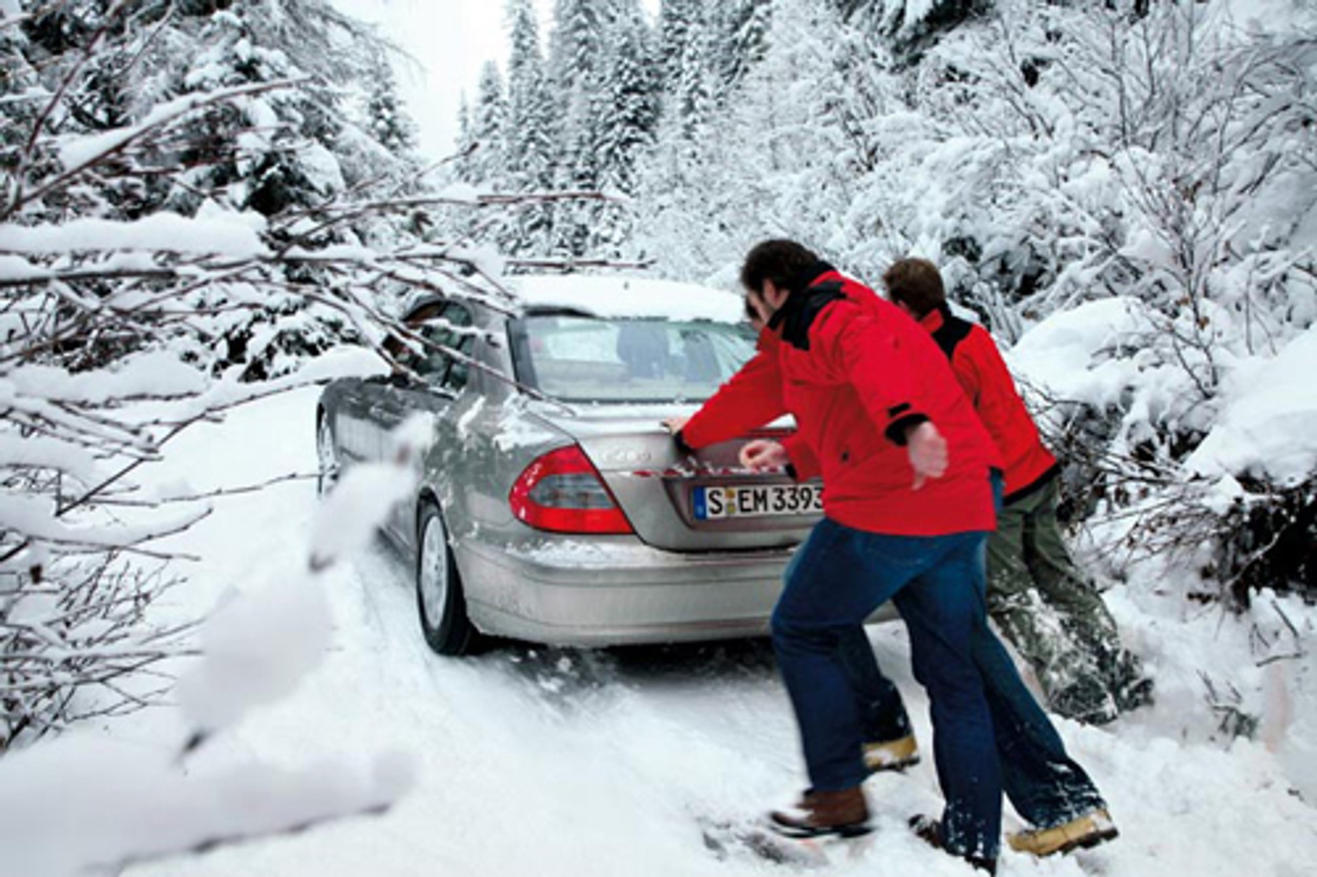 Szukamy króla śniegu