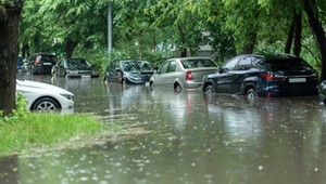 Prawie nowe, tanie i bezwypadkowe, ale po powodzi. Czy warto kupić "okazyjne" auto z Niemiec, Belgii czy Holandii?