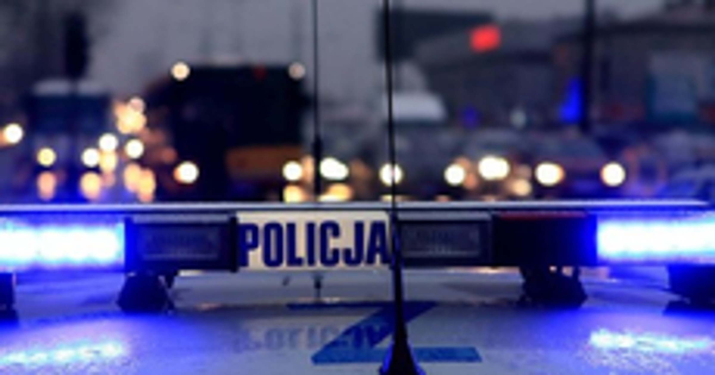 Obraz pochodzący z serwisu https://klodzko.policja.gov.pl/dkl/aktualnosci/bieza/122731,Wypadek-smiertelny-w-powiecie-klodzkim-policjanci-apeluja-o-rozwage-za-kierownic.html