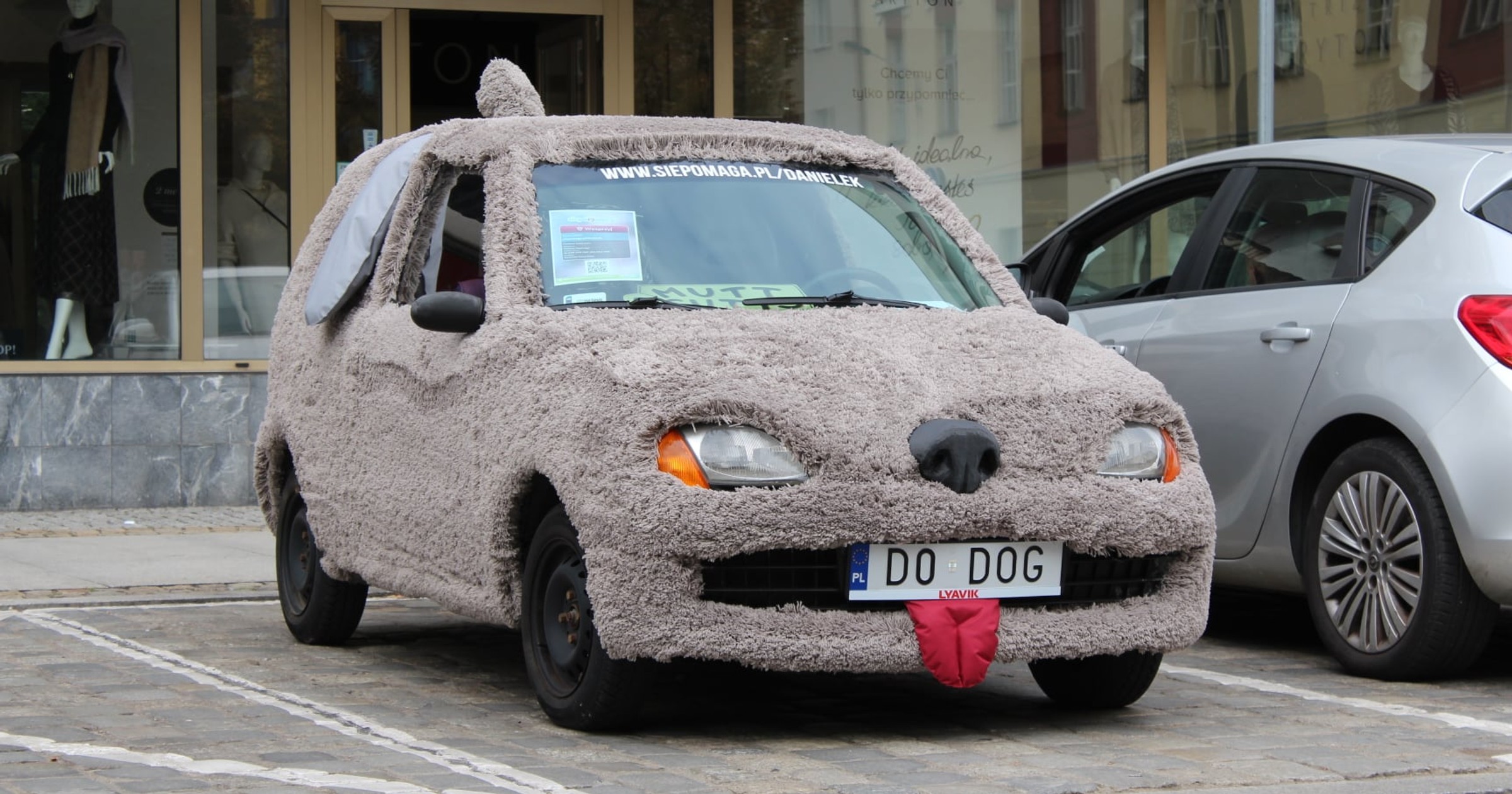 piesek Seicento