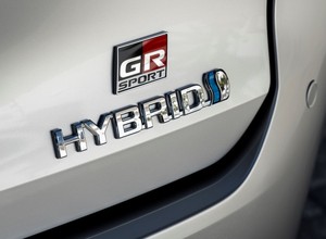 Hybrydy coraz popularniejsze. Polacy wybierają głównie jedną markę