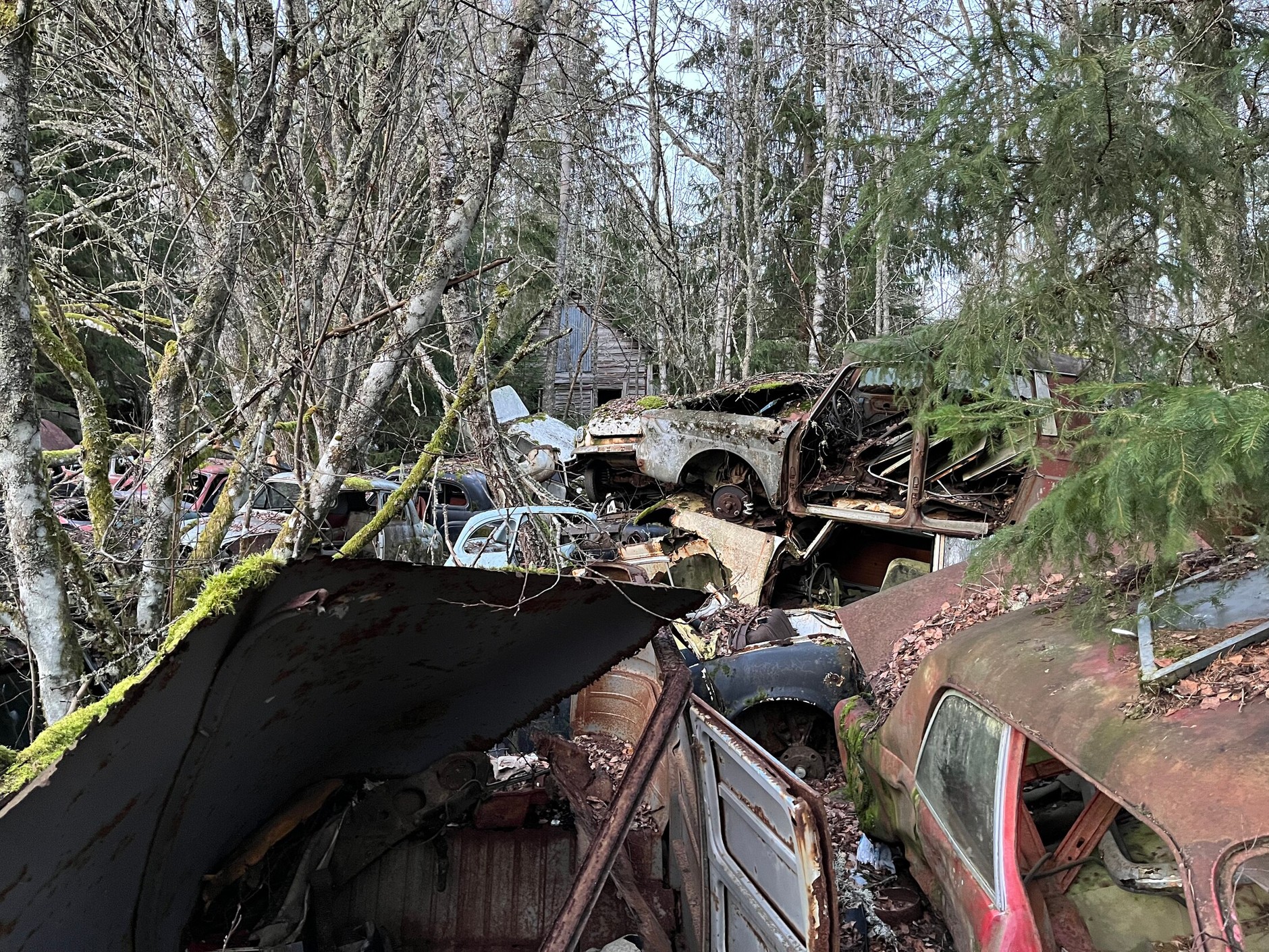 Cmentarzysko samochodów w Bastnas w Szwecji