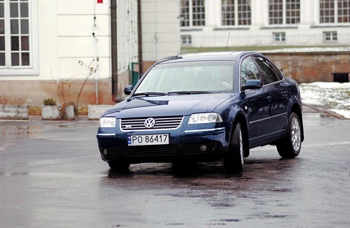 Ogniste W8