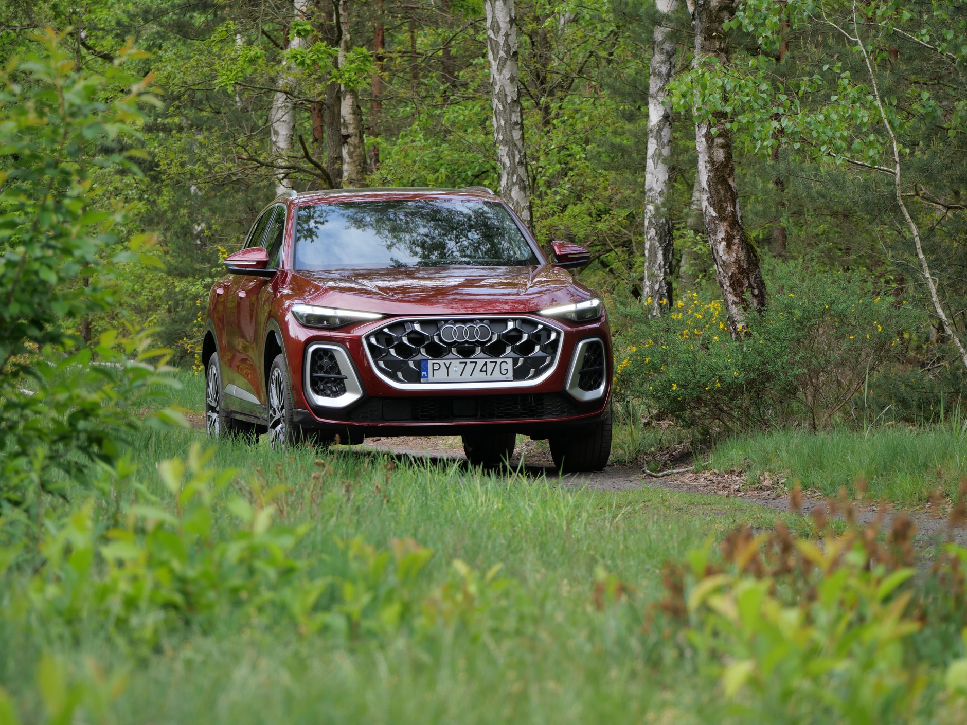 Audi SQ5