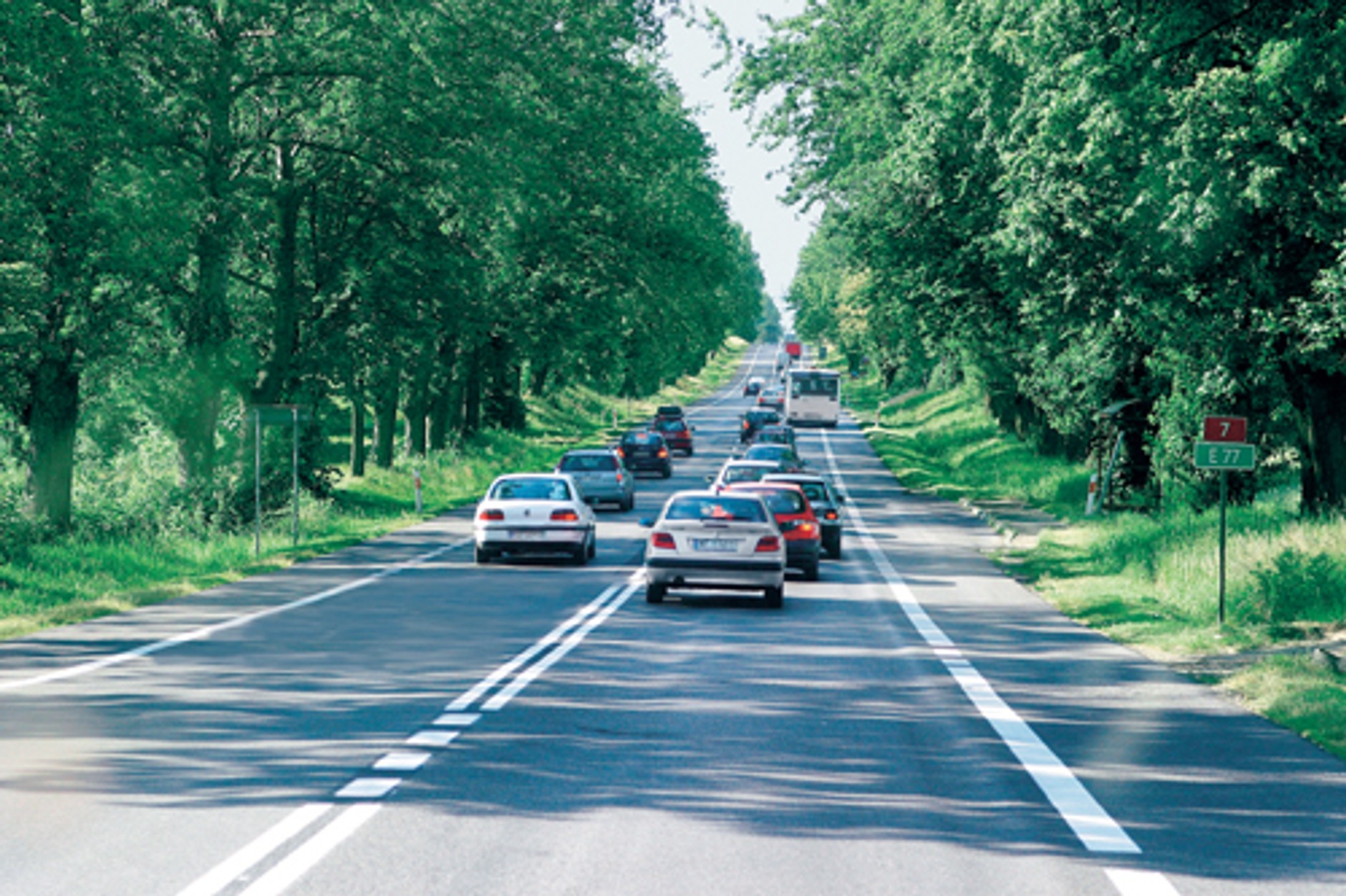 Polacy nie potrafią jeździć?