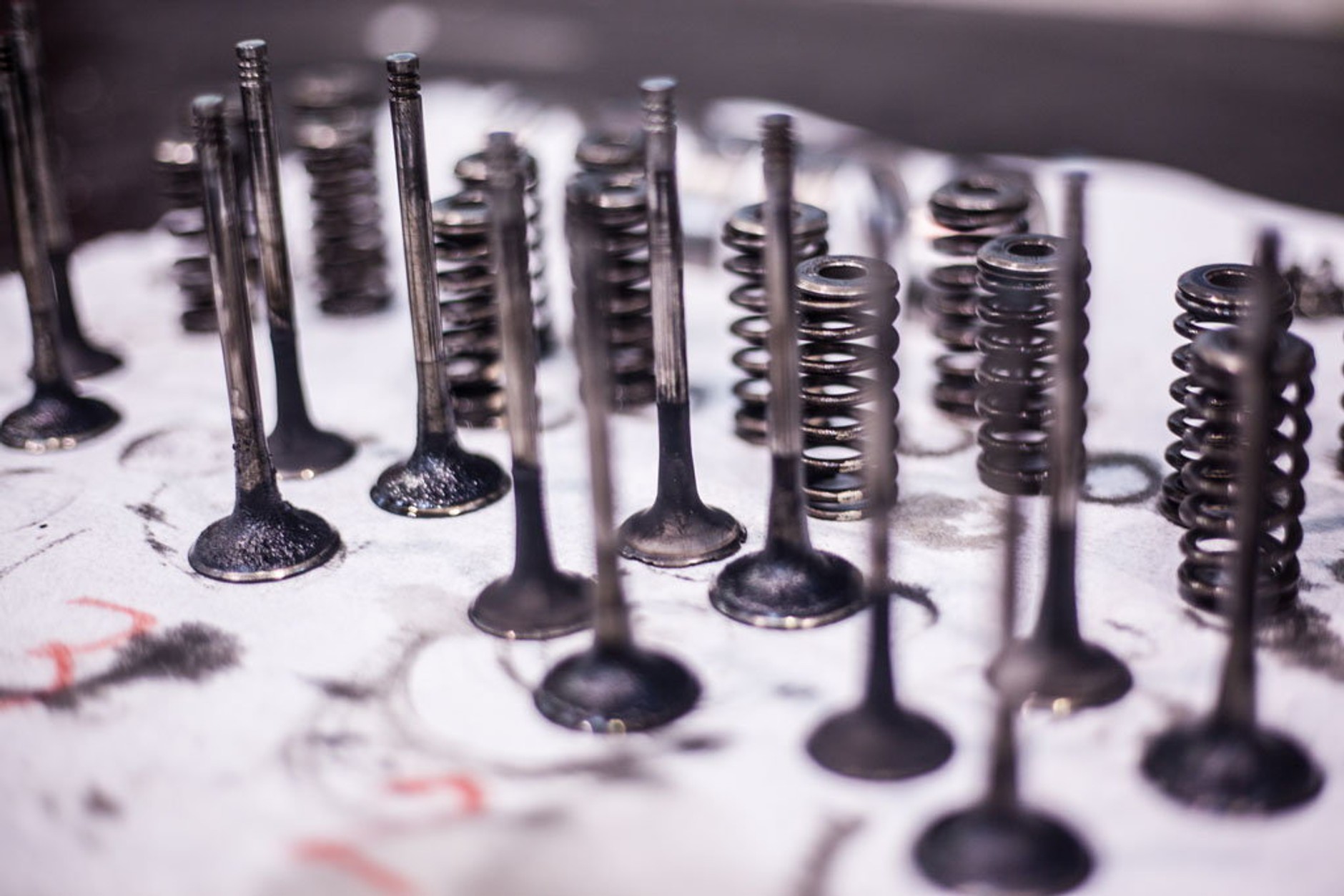 500 tys. km Octavią 2.0 TDI