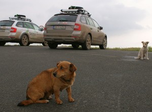 Skoda Euro Trek: Octavią Scout przez bezdroża Rumunii