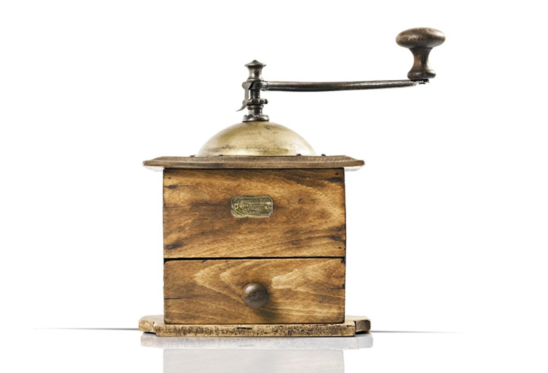 Dziwolągi, zwierzęta i AGD Peugeota