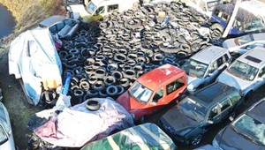 Inspektorzy odkryli szokujące składowisko. Dron latał nad oczkiem wodnym
