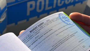 Odwrót rządu w sprawie karania kierowców. Wyjaśniamy, o co chodzi
