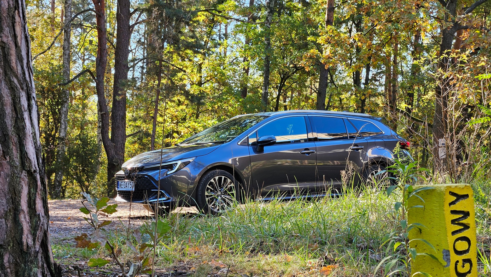 Toyota Corolla TS