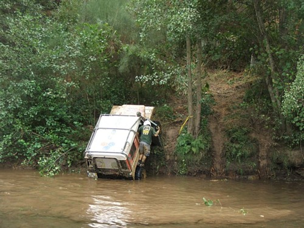 Rainforest Vimioso-Murca 2010: Rzeźnia