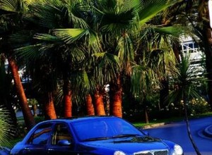 Peugeot 406, Volkswagen Passat, Lancia Lybra, Toyota Avensis - Oszczędzanie bez przerwy