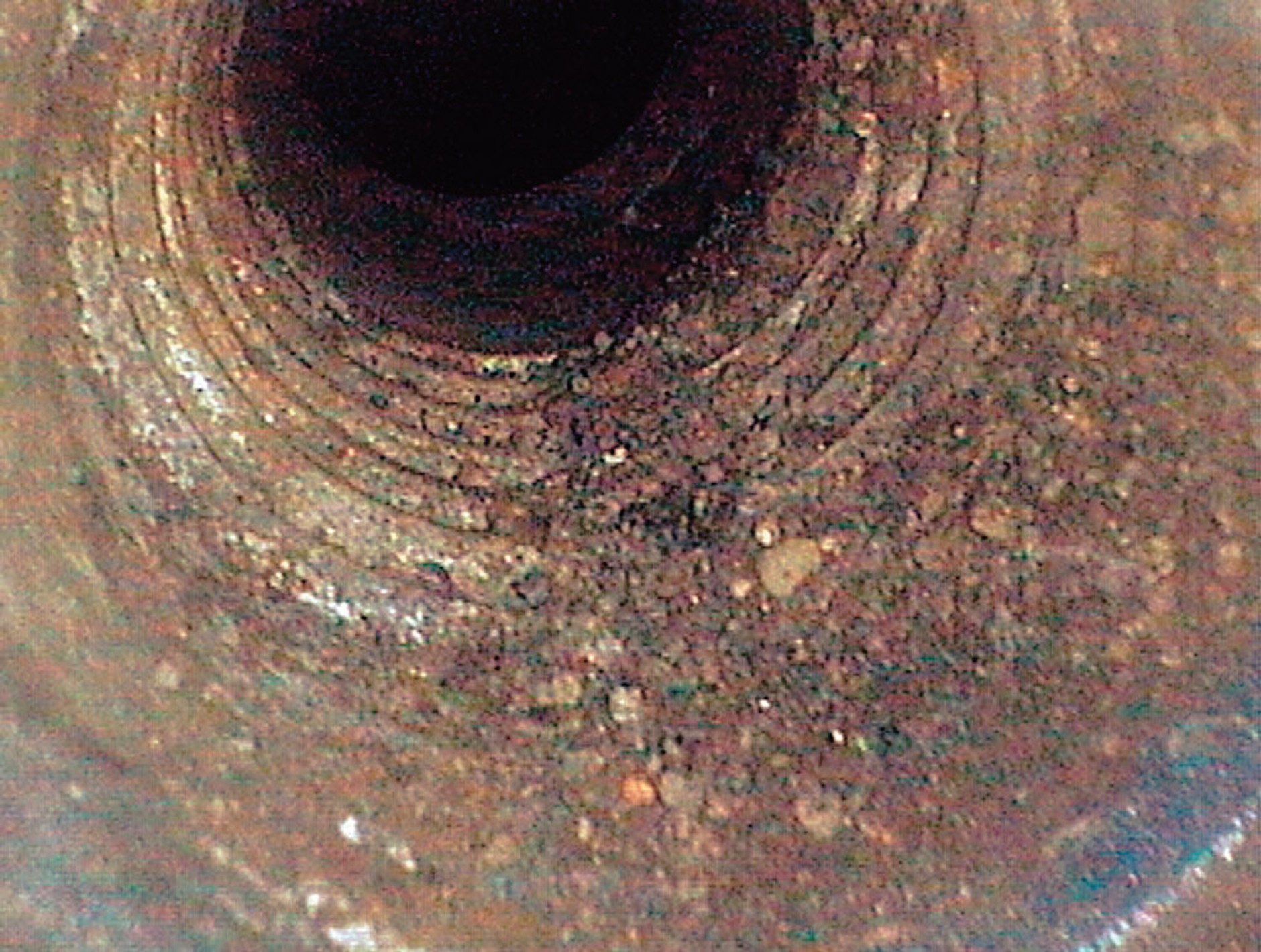 Audi A6: kusi prestiżem, ale odstrasza kosztami napraw