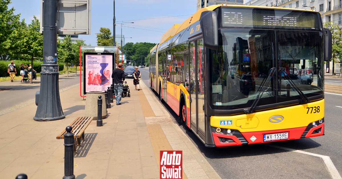 Autobus nie zawsze ma pierwszeństwo. Kierowca musi wiedzieć o dwóch warunkach