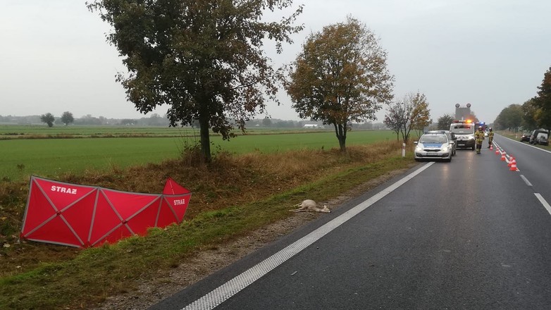 Śmiertelne potrącenie pod Radomiem