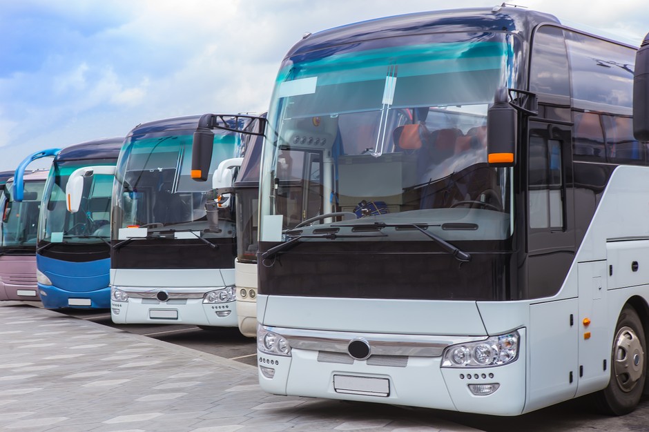 Kierowca autobusu turystycznego