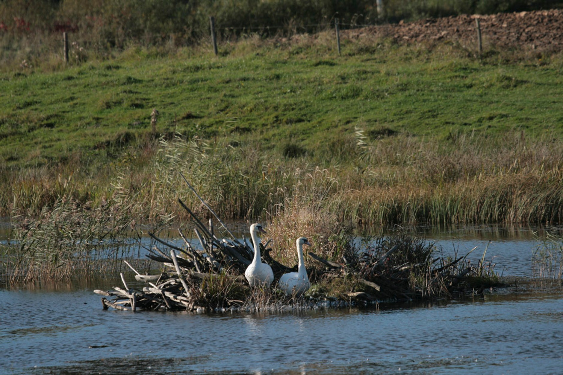 Zwiedzamy okolice Gołdapii z Chevroletem Captivą