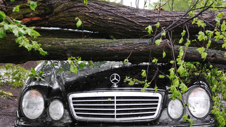 Jak walczyć od odszkodowanie po wichurze?