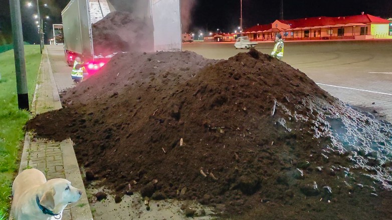 Nielegalne papierosy pod torfem