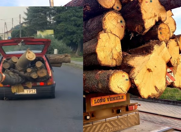 Cinquecento załadowane pniami drzew. Ten kierowca mocno przesadził!