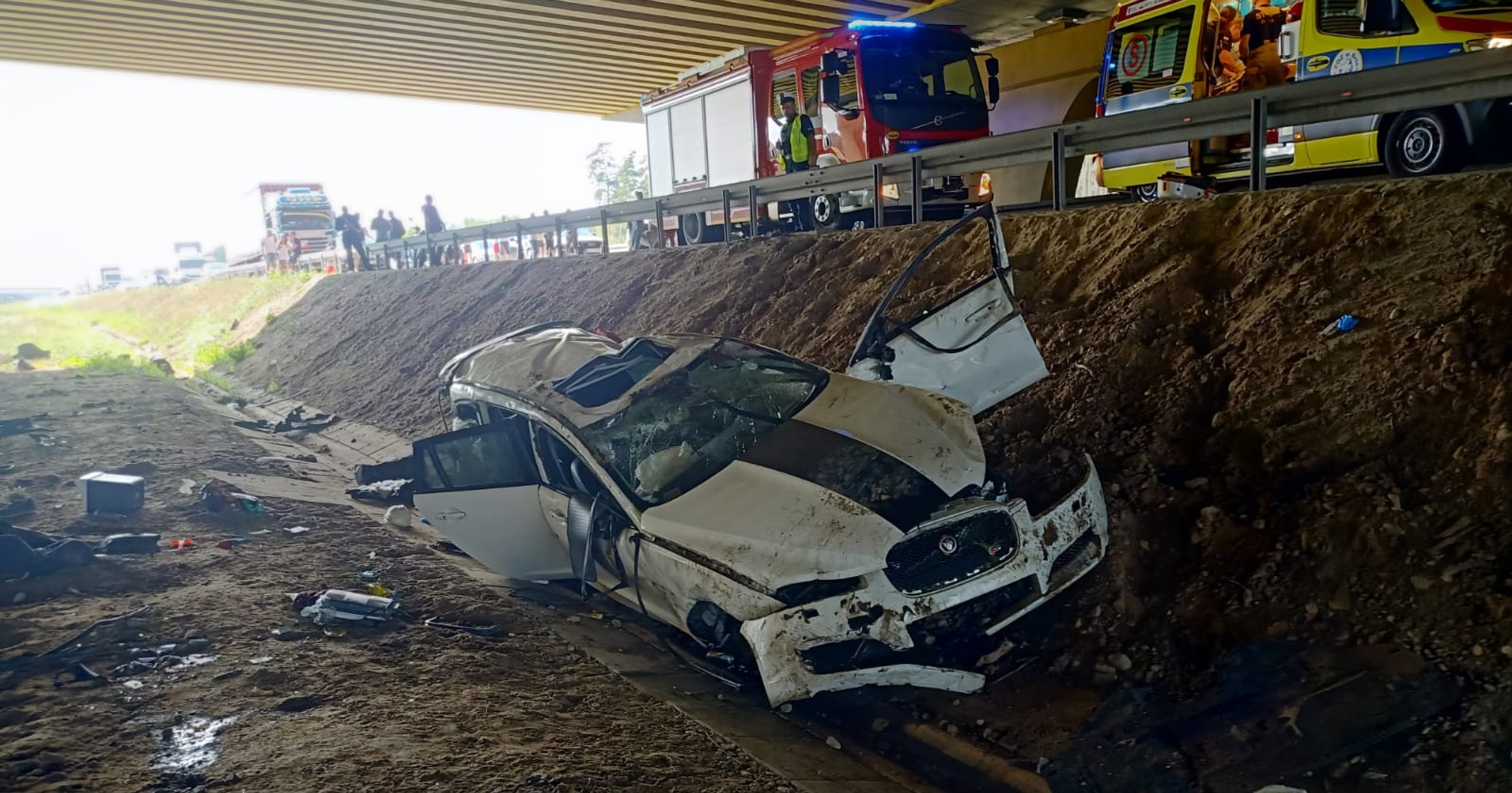 Jaguar wylądował w przydrożnym rowie