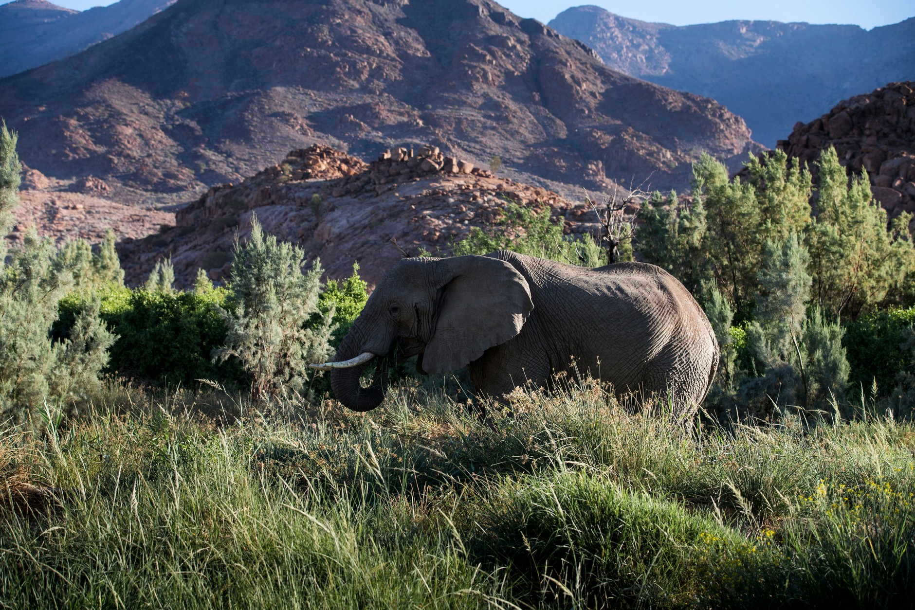 Toyota Land Cruiser po liftingu