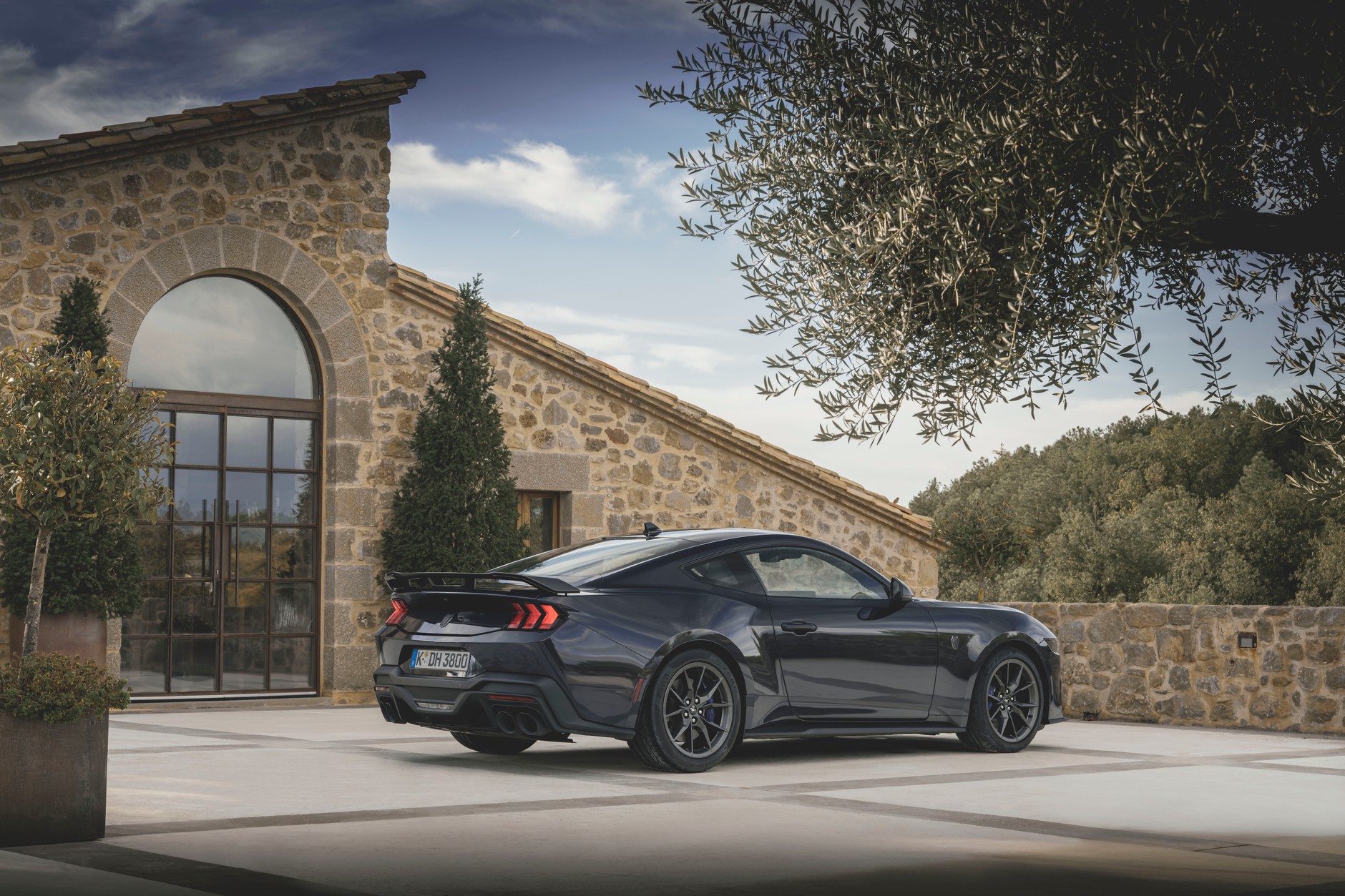 Ford Mustang Dark Horse