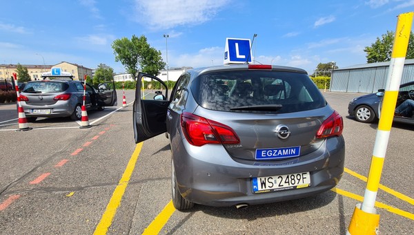 Młode pokolenia nie chcą prowadzić samochodów. Dramatyczny spadek liczby praw jazdy