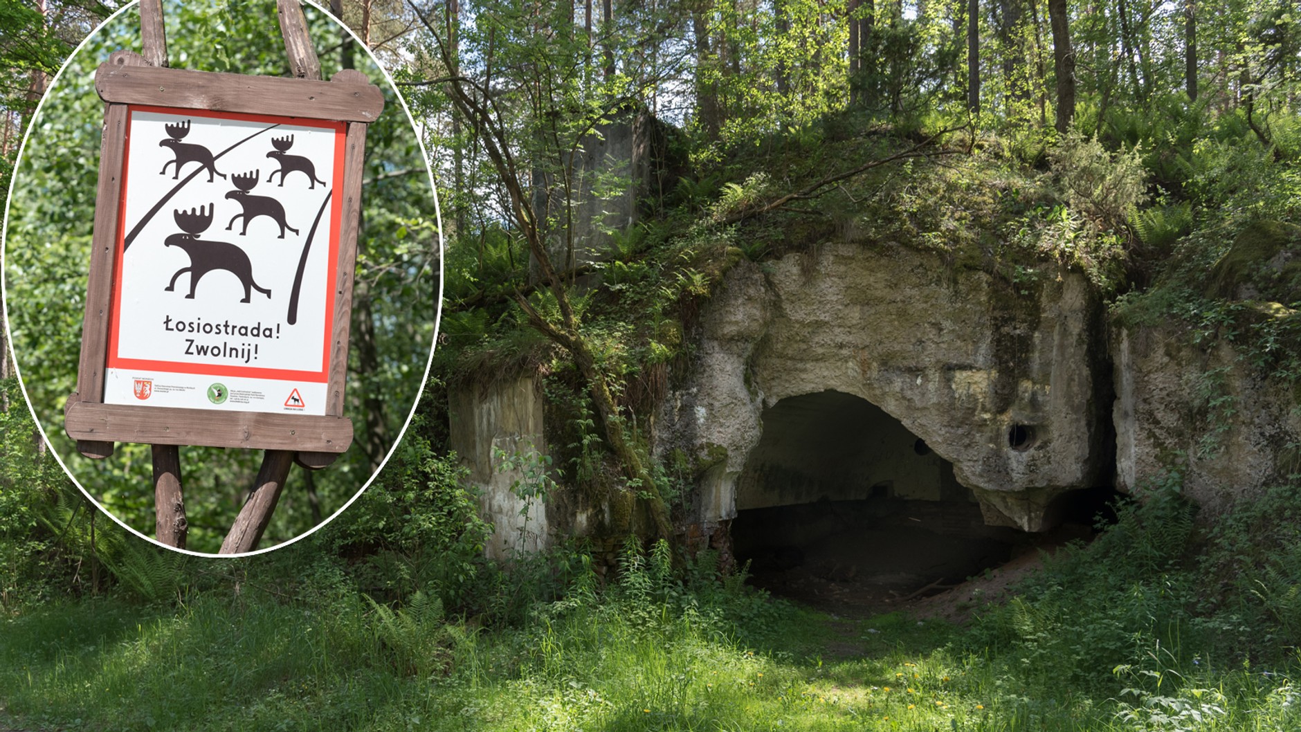 Mazury: coś dla ciała i ducha - Biebrza