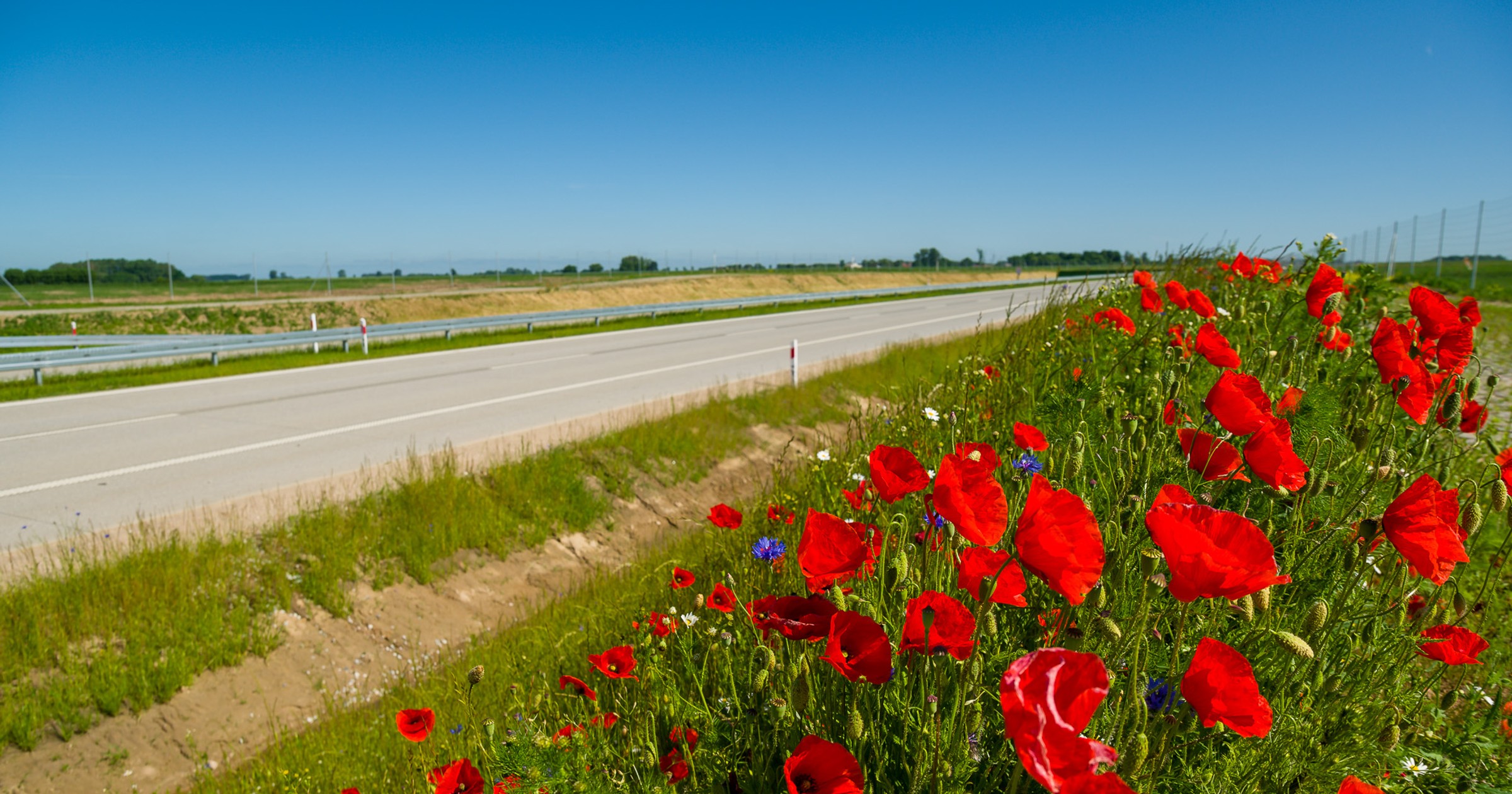 Łąki wokół autostrad