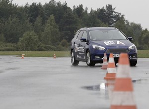 Zielony listek - to się nie uda!