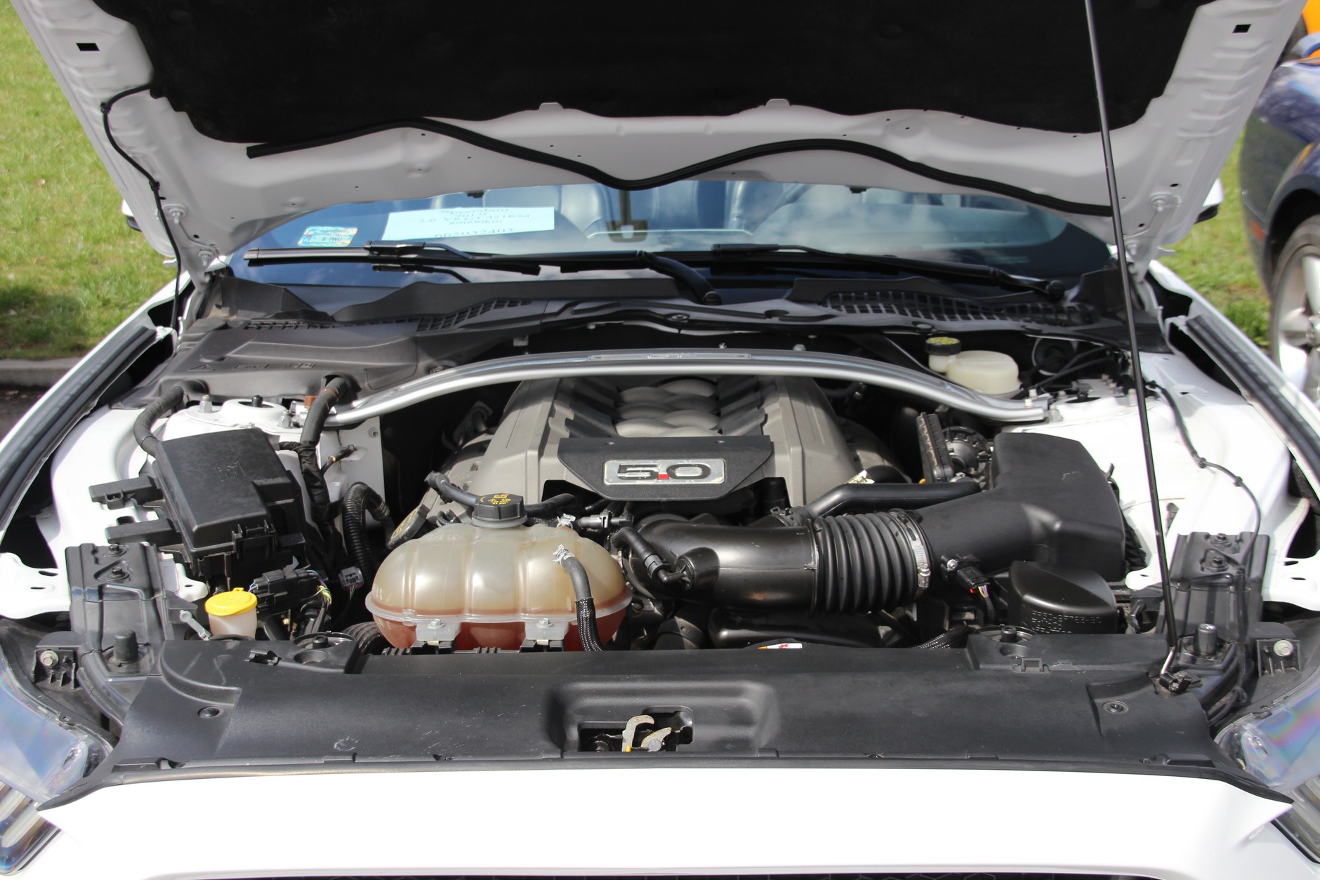 XV Ogólnopolski Zlot Mustangów