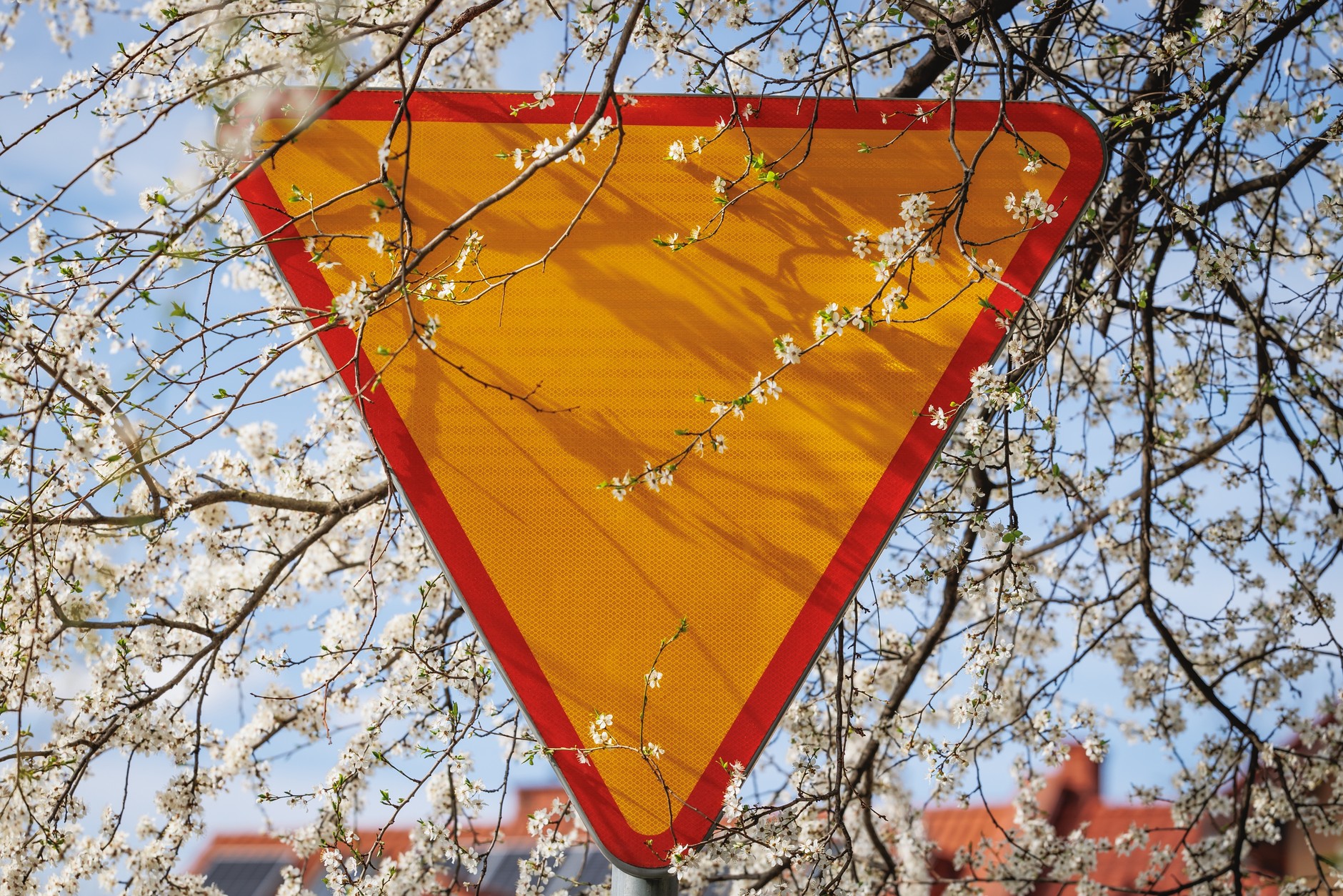 Znak A-7 reguluje kwestię pierwszeństwa na drodze