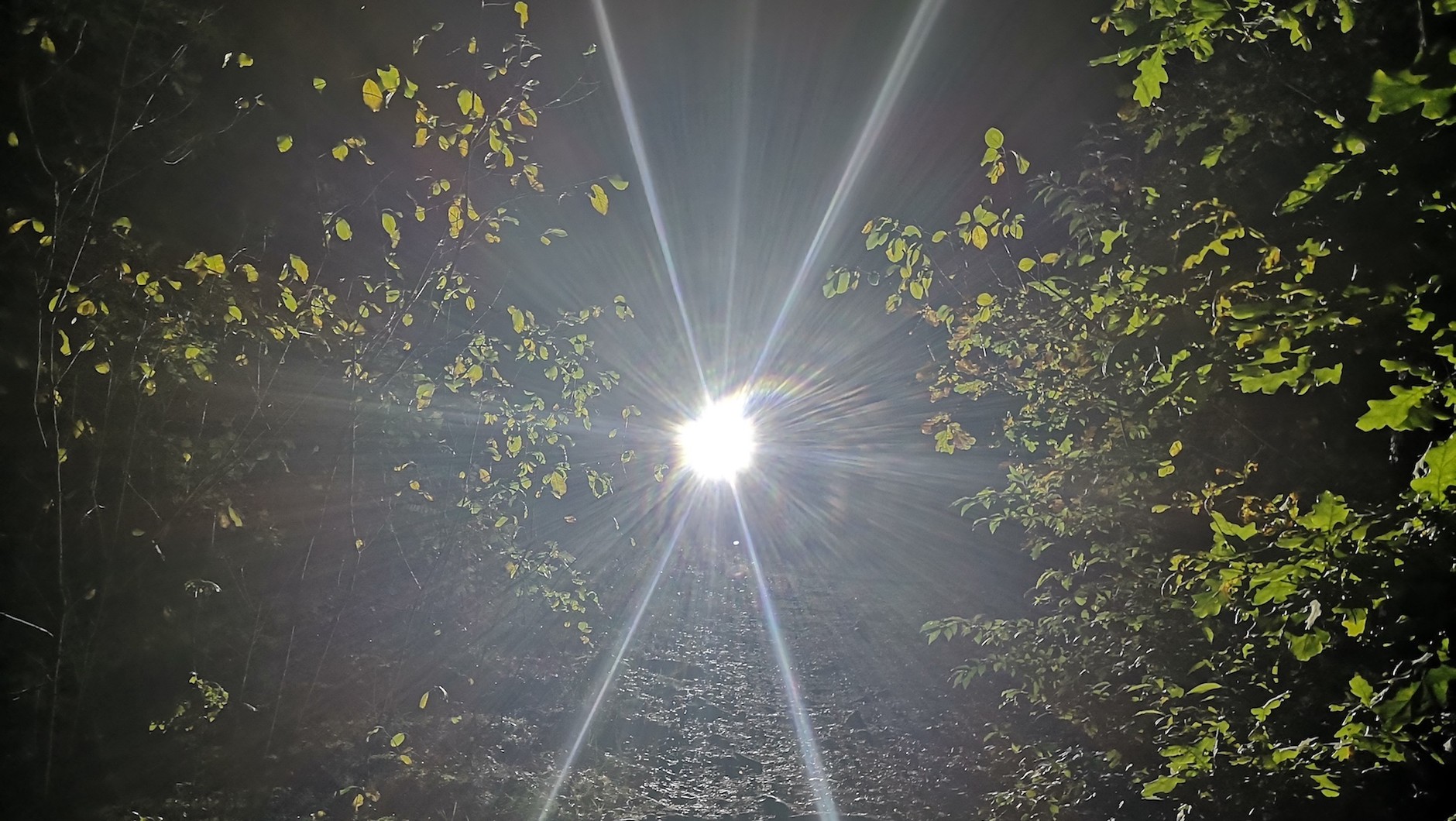 Lampka o wydajności 1800 lm skierowana na wprost do jazdy off-roadowej