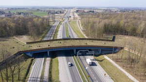 Nowa trasa S19, czyli wygodne połączenie między Rzeszowem a Warszawą
