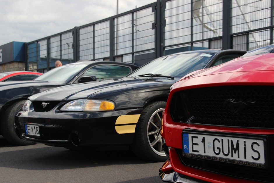 XV Ogólnopolski Zlot Mustangów