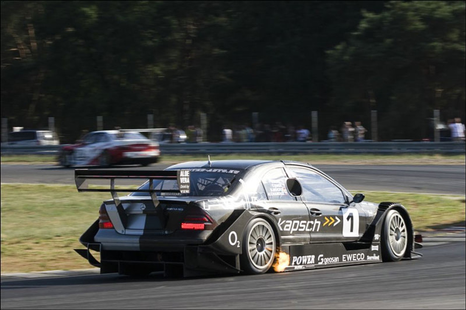 Wyścigi: nowe rekordy na torze w Poznaniu (fotogaleria)