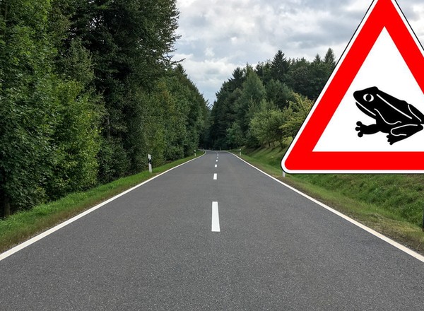 Znak z symbolem żaby przy niemieckich drogach. Czy wiesz, co oznacza?