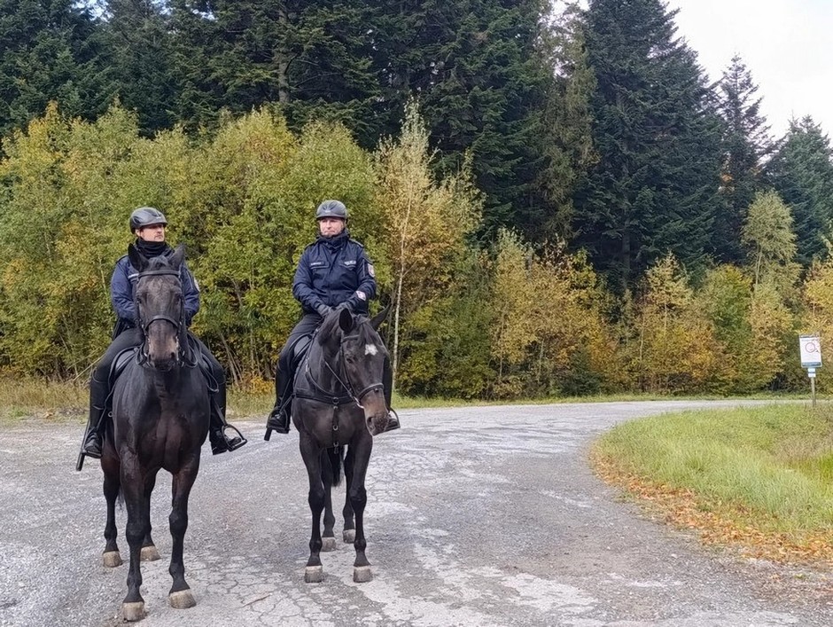 Policjanci na koniach