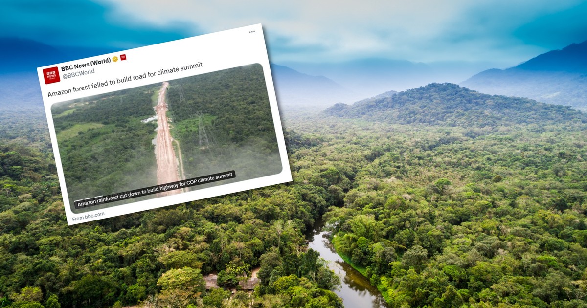 Amazonia - las deszczowy Zniszczenia