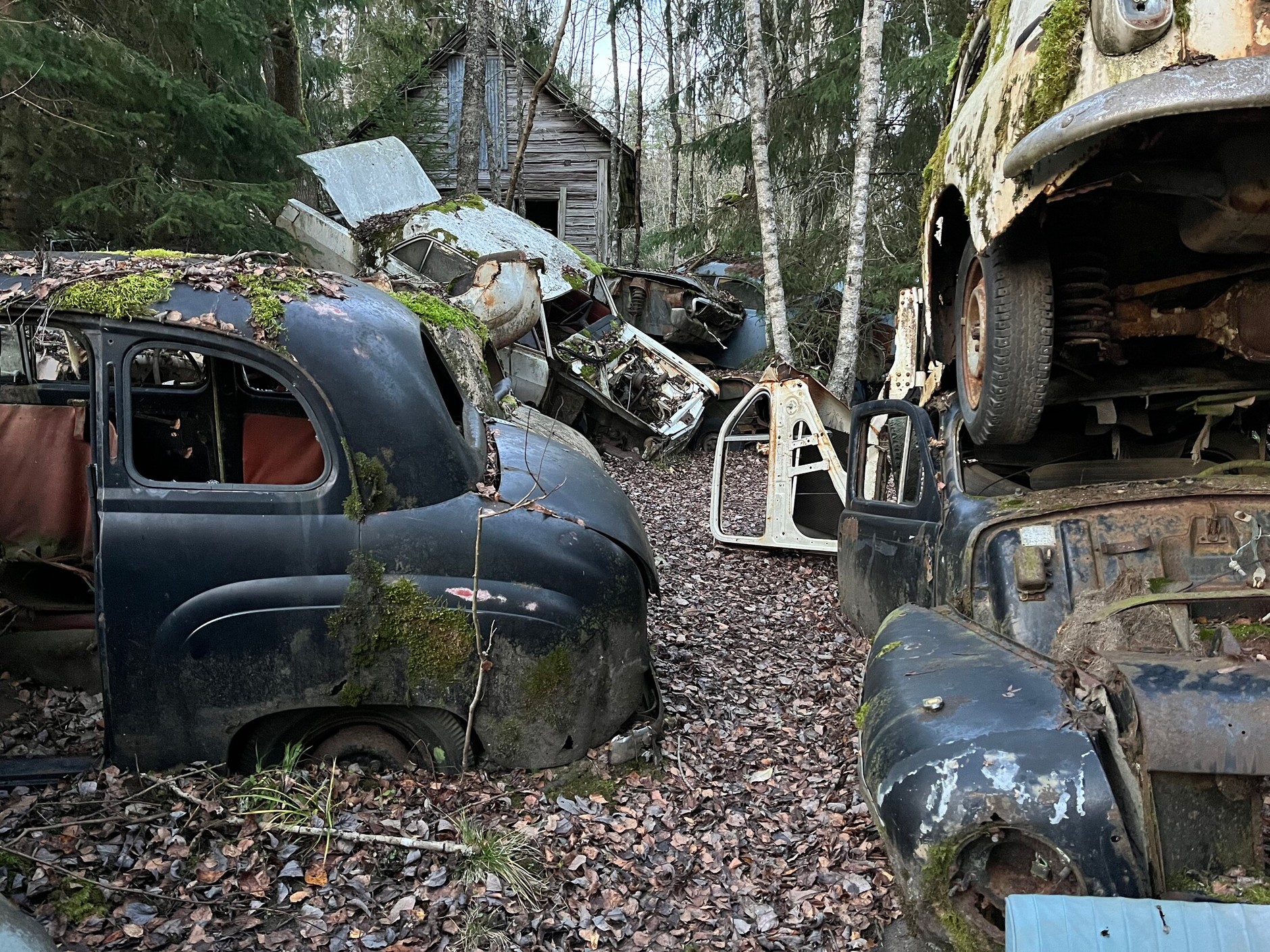 Cmentarzysko samochodów w Bastnas w Szwecji
