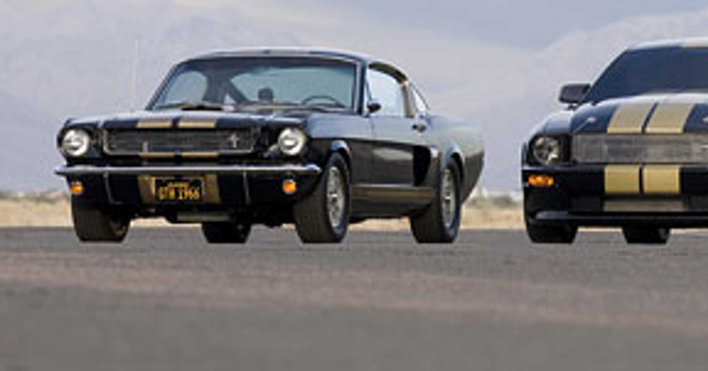 Ford Shelby GT350-H: z wypożyczalni na półki sklepowe