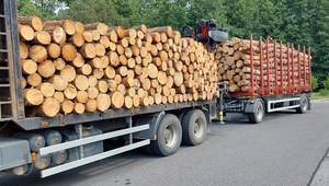 Wiózł drewno i znakował trasę przejazdu. Patrol ITD wykazał się czujnością