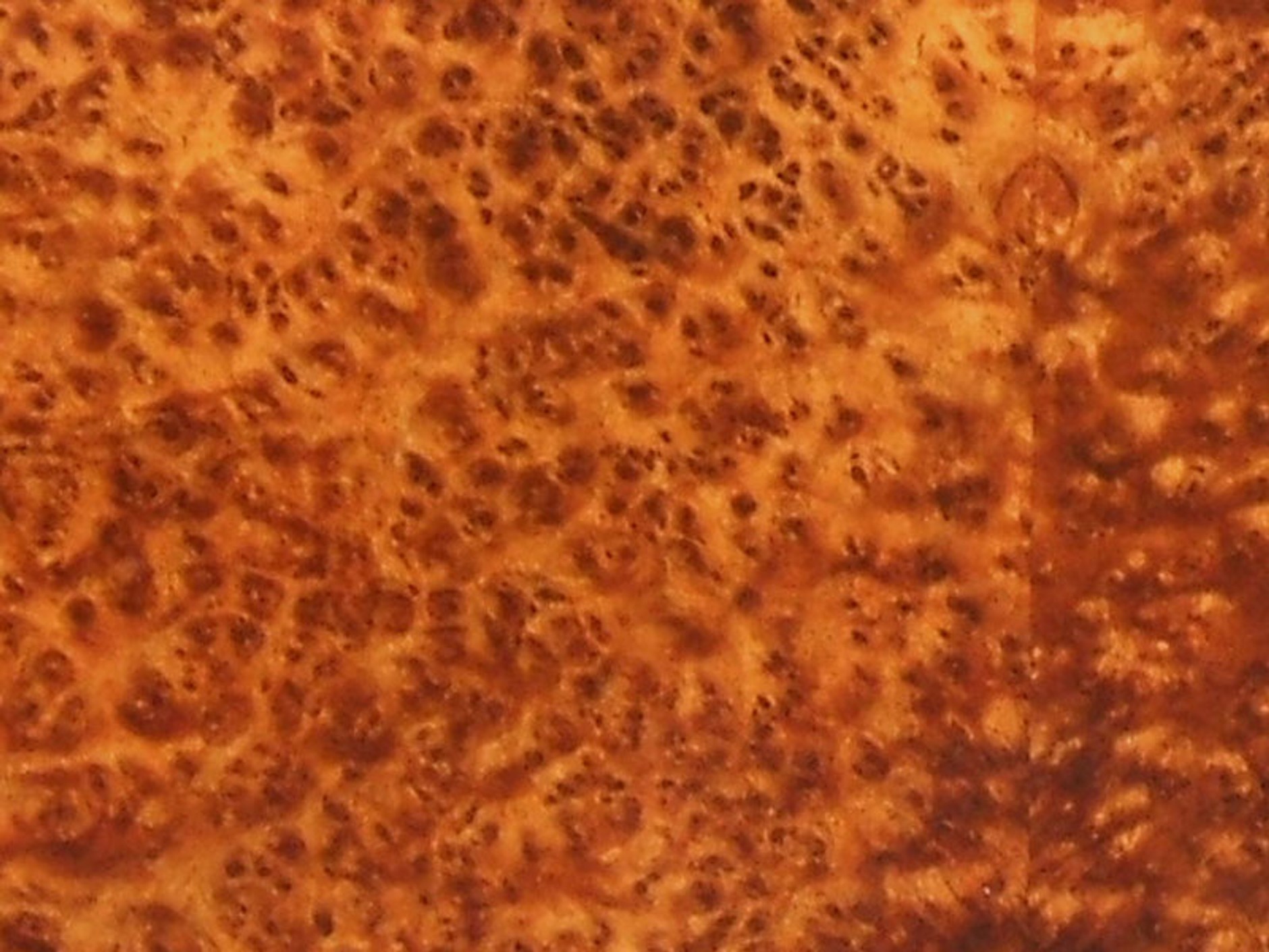 IAA Frankfurt 2009: Bentley Continental Series 51: więcej stylu dla Conti GT i GTC