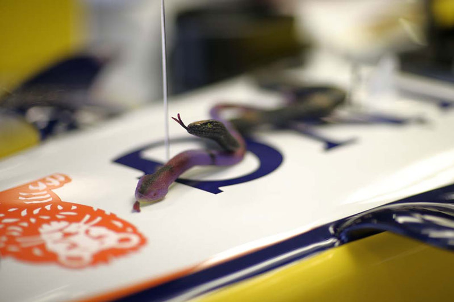 Grand Prix USA 2007: Jiří Křenek i jego fotogaleria