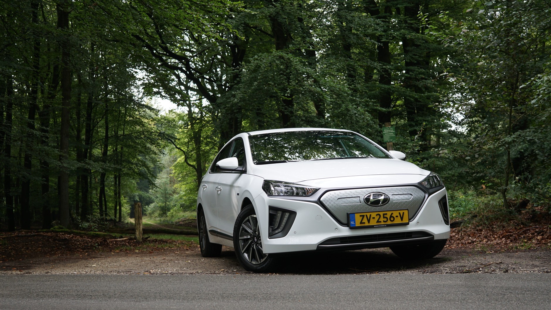 Hyundai Ioniq electric